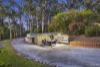 50 Old Coach Road, The Basin, Vic 3154-Image