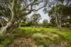 50 Oliphant Avenue, Marion, SA 5043-Image