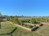 50 Olive Grove Drive, Adare, Qld 4343-Image