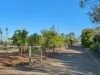 50 Olive Grove Drive, Adare, Qld 4343-Image