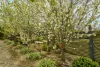 50 Palling Road, Heathcote, Vic 3523-Image