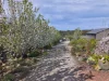 50 Palling Road, Heathcote, Vic 3523-Image
