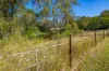 50 Pauls Parade, Ellesmere, Qld 4610-Image