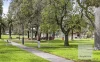 50 Pender Street, Thornbury, Vic 3071-Image