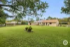 50 Pinelands Drive, Beerwah, Qld 4519-Image