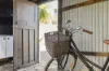 50 Raglan Street, Waterloo, NSW 2017-Image