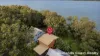 50 Resthaven Drive, Lamb Island, Qld 4184-Image