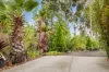 50 Riverview Drive, Hopetoun Park, Vic 3340-Image