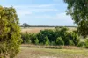 50 Rosemond Way, Bannockburn, Vic 3331-Image
