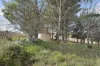 50 Sandy Crossing Road, Bombala, NSW 2632-Image