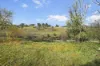 50 Sandy Crossing Road, Bombala, NSW 2632-Image