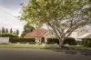 50 Sefton Road, Hendra QLD 4011-Image