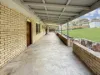 50 Templemore Street, Young, NSW 2594-Image