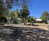 50 Third Avenue, Cracow, Qld 4719-Image