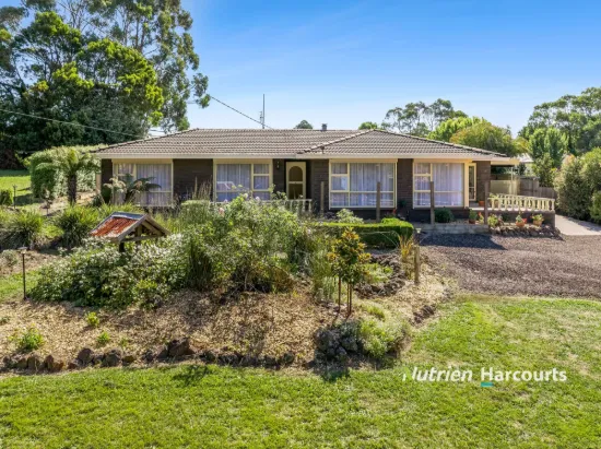 50 Timboon - Curdievale Road, Timboon, Vic 3268