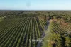 50 Treemartin Road, Carbunup River, WA 6280-Image