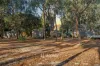 50 Treemartin Road, Carbunup River, WA 6280-Image