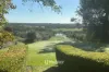50 Treemartin Road, Carbunup River, WA 6280-Image