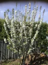 50 Tugrah Road, Tugrah, Tas 7310-Image