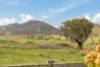 50 Willows Road, Michelago, NSW 2620-Image