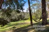500 Dunns Creek Road, Red Hill, Vic 3937-Image