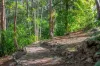 500 Tunnel Ridge Road, Mooloolah Valley, Qld 4553-Image