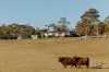 501 Avonside Road, Avonside, NSW 2628-Image