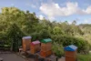 501 Black Mountain Road, Black Mountain, Qld 4563-Image