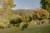 501 Black Mountain Road, Black Mountain, Qld 4563-Image