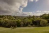 501 Black Mountain Road, Black Mountain, Qld 4563-Image