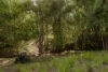 501 Black Mountain Road, Black Mountain, Qld 4563-Image