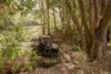 501 Black Mountain Road, Black Mountain, Qld 4563-Image