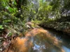 502 Lake Barrine Road, Malanda, Qld 4885-Image