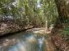 502 Lake Barrine Road, Malanda, Qld 4885-Image