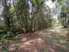 502 Lake Barrine Road, Malanda, Qld 4885-Image