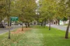 503/82 Osmond Terrace, Norwood, SA 5067-Image