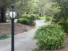 503 Mount Macedon Road, Mount Macedon, Vic 3441-Image