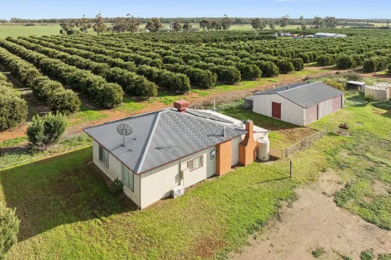 504 McNeil Road, Leeton, NSW 2705