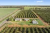 504 McNeil Road, Leeton, NSW 2705-Image