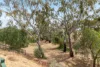 504 Nelson Rd, Gulfview Heights, SA 5096-Image