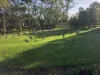 505 Bingie Road, Bingie, NSW 2537-Image
