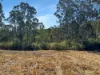 506 Old Lawrence Road, Casino NSW 2470-Image