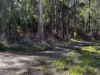 506 Old Lawrence Road, Casino NSW 2470-Image