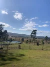 507 Round Mountain Road, Josephville QLD 4285-Image