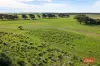 508 Crampton Road, South Greenough, WA 6528-Image