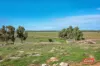 508 Crampton Road, South Greenough, WA 6528-Image