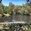 509 Heidelberg Road, Alphington, Vic 3078-Image