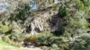 5095 Great Alpine Road, Ensay, Vic 3895-Image
