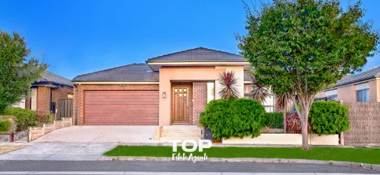 51 Bonnington Boulevard, Clyde North, Vic 3978