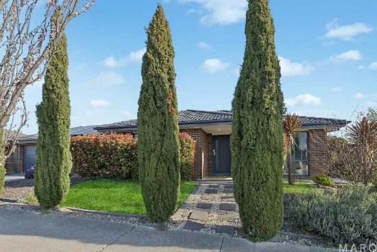 51 Burrumarra Avenue, Ngunnawal, ACT 2913 - For Sale
